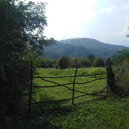 Guesthouse Smiljanic Slavkovica ภายนอก รูปภาพ