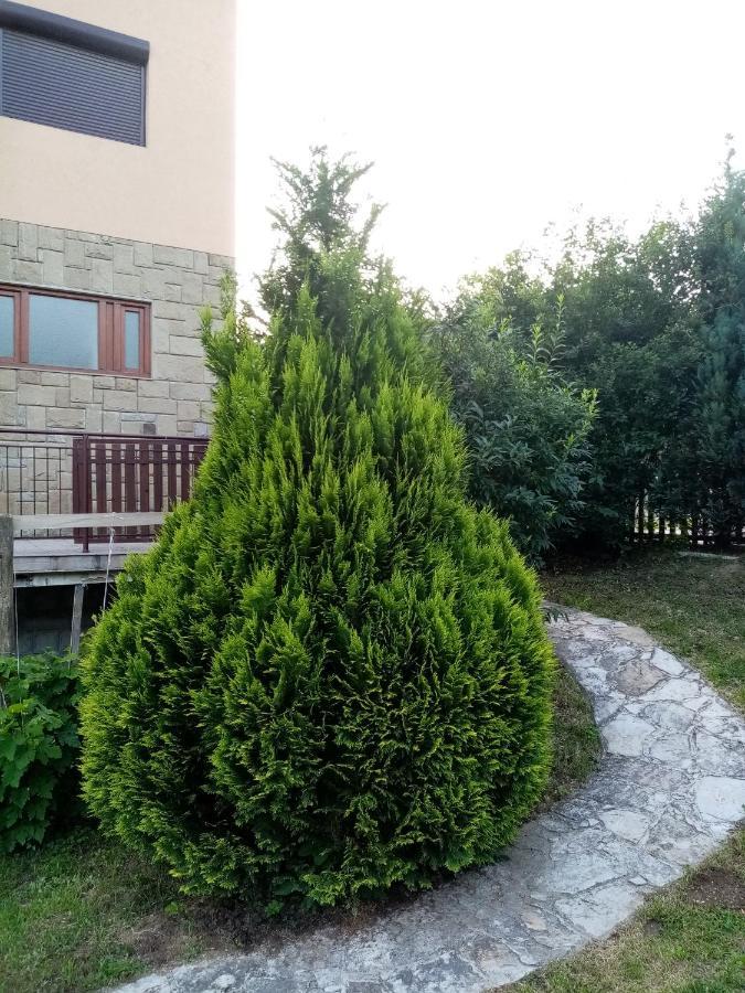 Guesthouse Smiljanic Slavkovica ภายนอก รูปภาพ