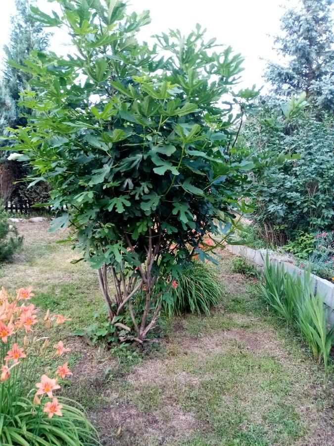 Guesthouse Smiljanic Slavkovica ภายนอก รูปภาพ