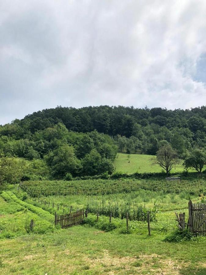 Guesthouse Smiljanic Slavkovica ภายนอก รูปภาพ