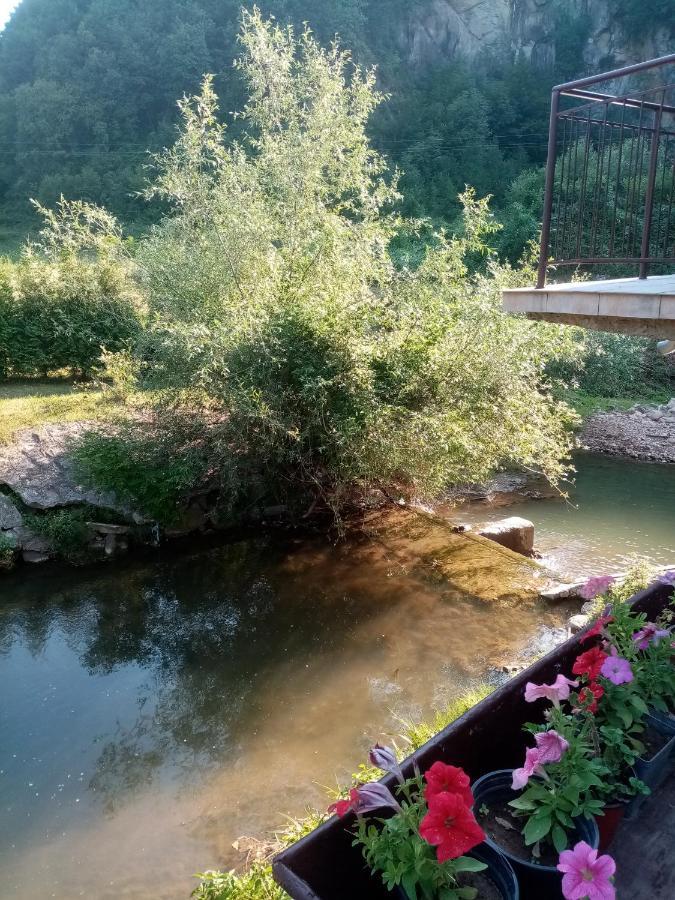 Guesthouse Smiljanic Slavkovica ภายนอก รูปภาพ